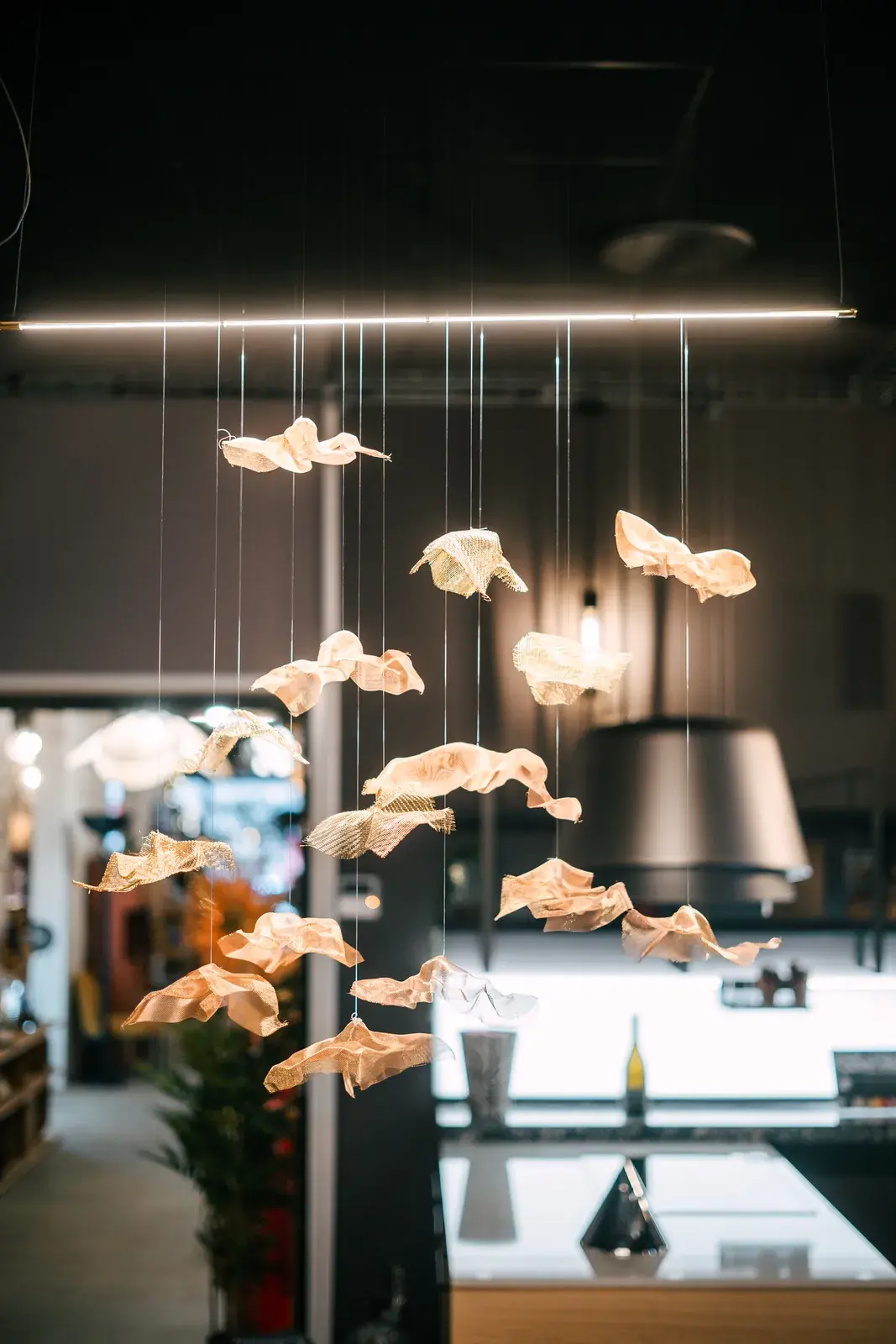 Luminaire decoration – showroom CENZA ES DECO DESIGN Auxerre Luminaire decoration – showroom CENZA ES DECO DESIGN Auxerre
